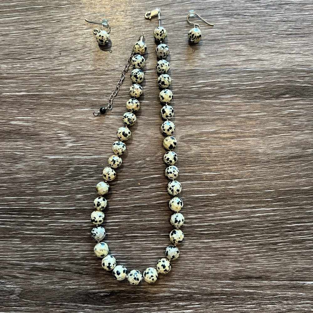 Spotted Necklace and Earring Set